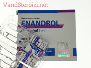 Testosteron Enantat - Enandrol